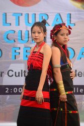 1_FOOD-FEST-CUM-CULTURAL-DAY-8